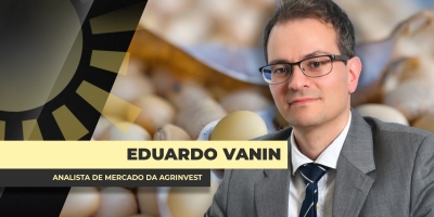 China acelera suas compras de soja no Brasil, atenta aos prêmios e logística
