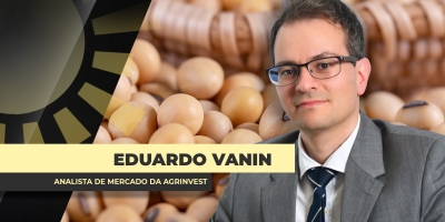 Preços da soja no BR continuam pressionados apesar de Chicago acima dos US$ 11, prêmios ainda sentem