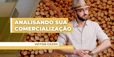 Analisando Sua Comercialização: Preços têm variado forte entre as principais regiões produtoras e estratégias também