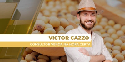 Analisando Sua Comercialização