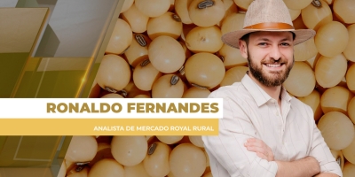 Soja abaixo dos R$ 100/sx se tornou em mais regiões produtoras