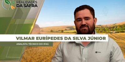 Com falta de chuvas, estado de Goiás passa por momento delicado para a segunda safra de milho