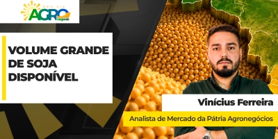 Volume da soja disponível ainda é grande no Brasil e produtor precisa fazer a conta do custo de carrego para decidir se vende agora ou não
