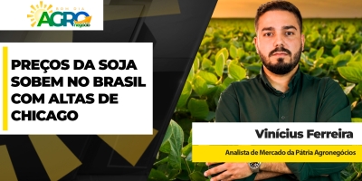 Preços da soja sobem no Brasil com altas em Chicago; oportunidades melhoram para a safra 26/27