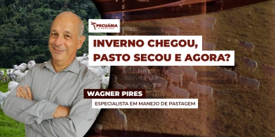 Os cuidados com a pastagem e os animais durante o período seco