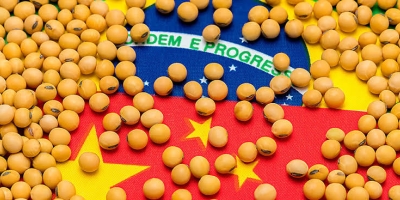 Soja: China precisa de pelo menos 6 mi de t para o fim de setembro que virão do BR e Argentina