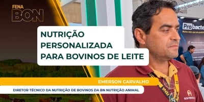 BN foca em nutrição personalizada e produtos de alta qualidade para garantir resultados aos bovinos de leite