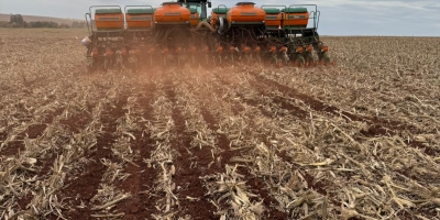 Plantio da soja acelera para 3,9% após chuvas liberarem avanço em áreas de MT