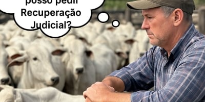 Devo apenas para Bancos: posso pedir Recuperação Judicial?