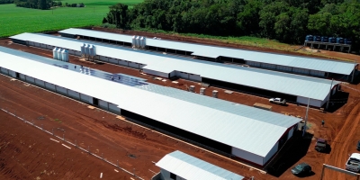 Governo do Paraná e MBRF anunciam R$ 375 milhões para fortalecer produção de alimentos