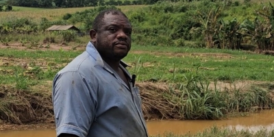 Produtores de Ubá ainda contabilizam os prejuízos causados pela forte chuva na Zona da Mata