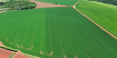 Regulador de crescimento promete mais produtividade e controle no manejo da soja e feijão