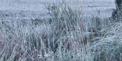 Massa de ar polar mantém risco de geada no Sul e provoca chuva congelada nas áreas mais altas da Serra Catarinense