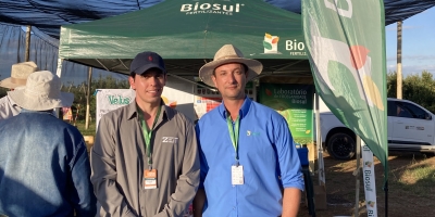 Inteligência artificial no manejo de potássio eleva produtividade em até 3 sacas por hectare