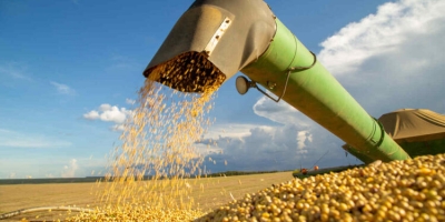 Clima e geopolítica sinalizam alta nas cotações das commodities agrícolas