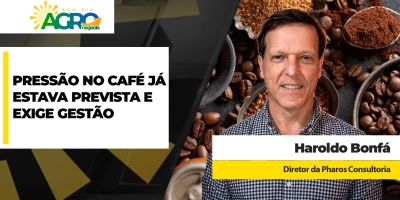 Safra grande do BR, apesar dos problemas de qualidade, já sinalizava pressão nos preços; gestão nas vendas
