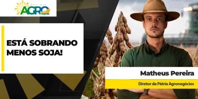 Com oferta da soja disponível mais escassa, prêmios  já conferiram quase R$ 20/sc a mais aos preços
