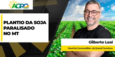 Plantio da soja está paralisado no MT com falta de chuvas e calor intenso; mercado também trava