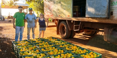 Do campo à mesa: assistência técnica, transporte e regularização apoiam o pequeno agricultor em Sidrolândia