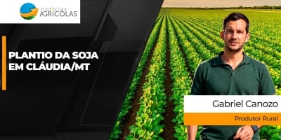 Chuvas chegam parceladas, mas permitindo bom avanço do plantio da soja em Cláudia/MT