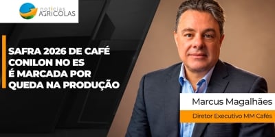 Safra 2026 de café conilon no Espírito Santo é marcada por queda na produção