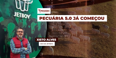 A Pecuária 5.0 integra dados e tecnologia para modernizar a gestão das propriedades focadas em bovinos de corte