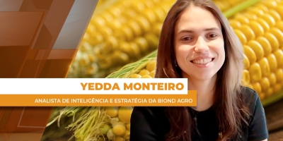 Cenário internacional, dólar e atraso da safrinha ajudam valorizações do milho no Brasil