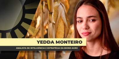 ENTREVISTA BOM DIA AGRO COM - Yedda Monteiro Analista de Inteligência e Estratégia da Biond Agro