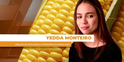 Preços do milho sustentados no Brasil com mercado de olho no clima para safrinha