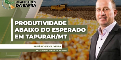 Colheita do milho entra na reta final com produtividades abaixo do esperado em Tapurah/MT