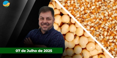 Lentidão no mercado do boi gordo com compradores avaliando demanda por carne ; soja e milho encerram com forte queda em Chicago