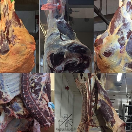 Corte de carne - Pampa Natural Meets