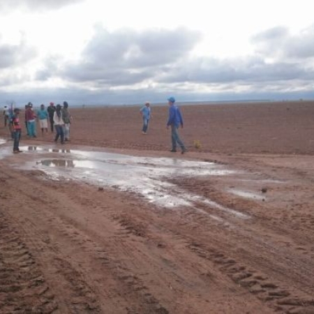 Invasão da fazenda Cedro - Marabá - PA