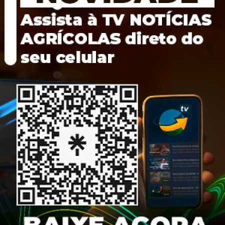 Assista à TV Notícias direto do seu celular