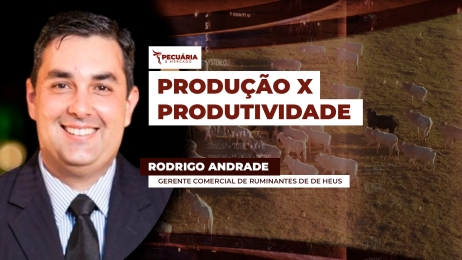 ANDRADE