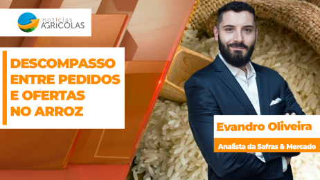 BOLETINS THUMB ARROZ