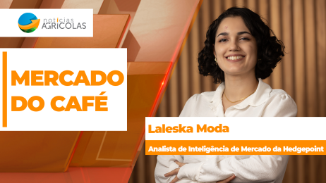 BOLETINS THUMB CAFÉ