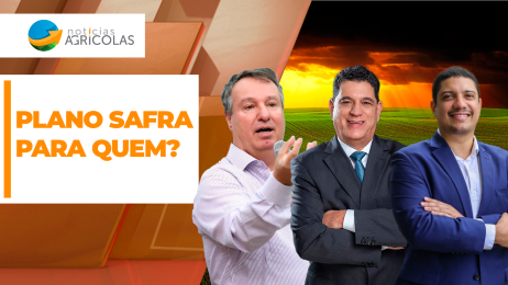 BOLETINS THUMB PLANO SAFRA