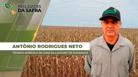 Captura de tela 2026-06-18 124640