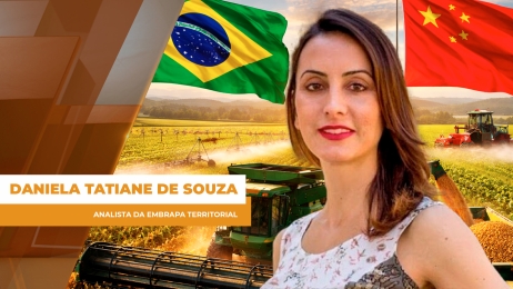 comercial site