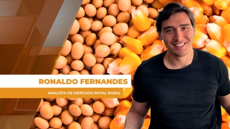 COMMODITIES SITE