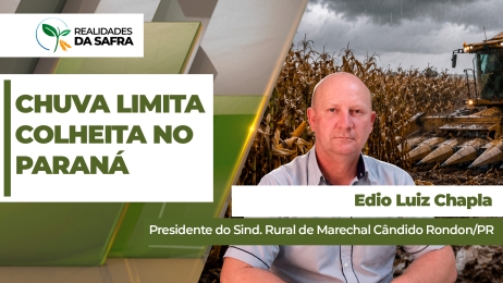 EDIO