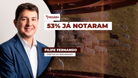FELIPE