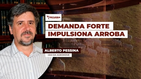 pessina