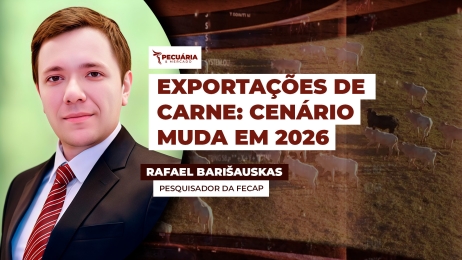 Rafael Barišauskas thumb