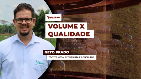 THUMB - NETO - DIA 31