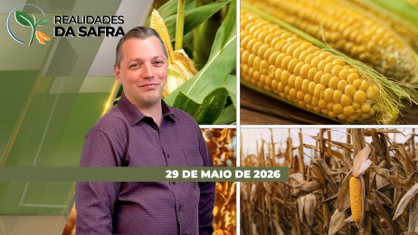 THUMB_REALIDADES_2025_SITE