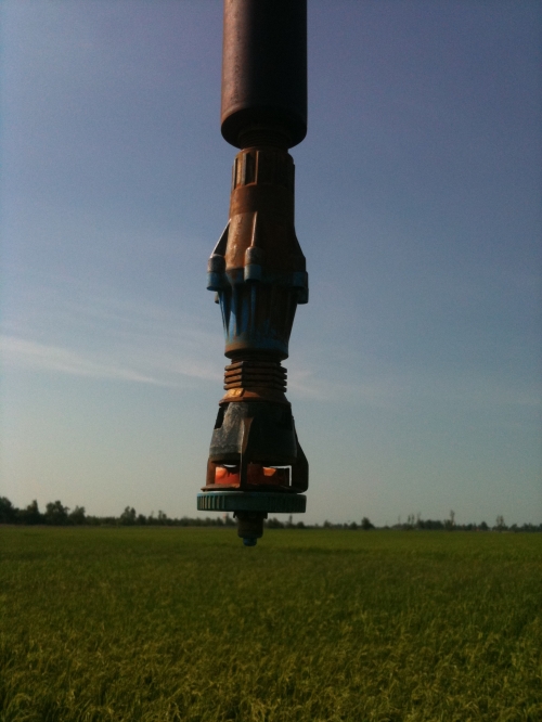 Clique aqui para ampliar!