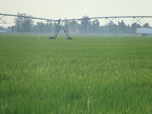 Clique aqui para ampliar!