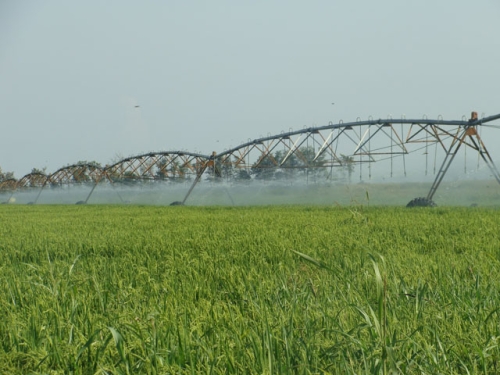 Clique aqui para ampliar!